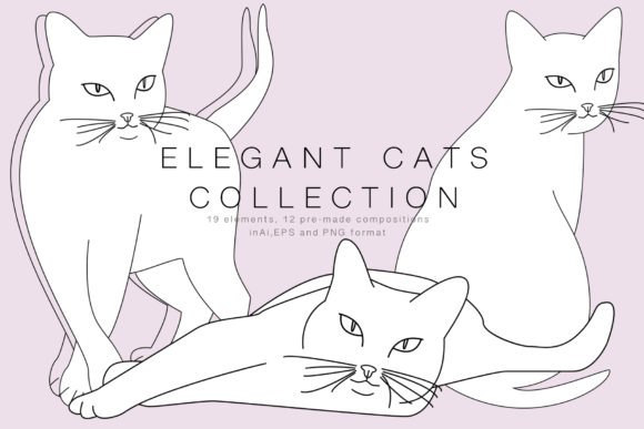 Elegant Cats Collection for Creative Professionals