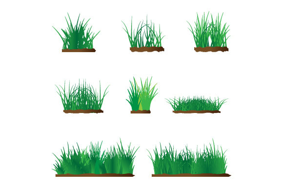 Grass Shape Illustration