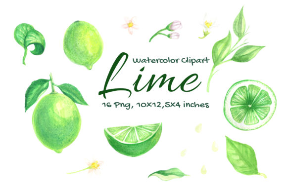 Lime Watercolor Fruit Slice Citrus: A Versatile Asset for Creators and Businesses