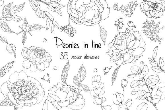 Piones in Line: A Versatile Vector Set for Creative Expression