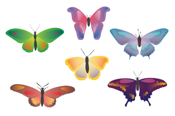 Set of Colorful Butterflies: A Versatile Design Asset for Creative Projects
