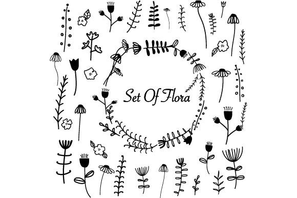 Set of Flora: A Versatile Graphic Asset for Designers and Creators