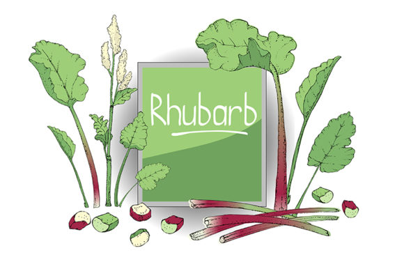 Vector Set with Rhubarb and Vegetable: A Comprehensive Guide to Understanding and Using This Digital Asset